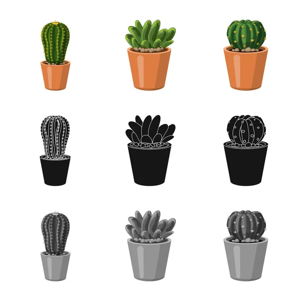 Design vettoriale del cactus e del logo della pentola. Set di icone vettoriali cactus e cactus per stock . — Vettoriale Stock
