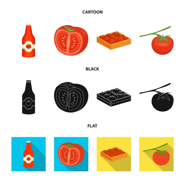 Illustration vectorielle de légumes et signe délicieux. Collection de légumes et de stock naturel symbole pour la toile . — Image vectorielle