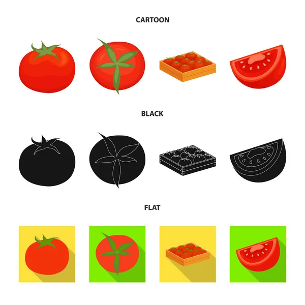 Векторний дизайн овочевої та смачної ікони. Колекція рослинних і природних запасів Векторні ілюстрації . — стоковий вектор