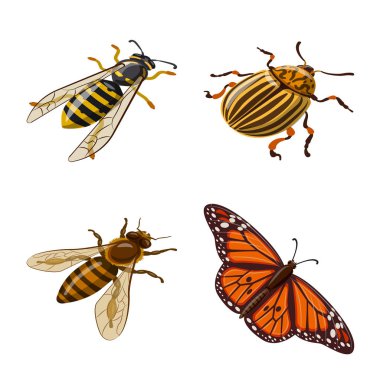 Vektör Illustration böcek ve sinek logosu. Web için böcek ve Entomoloji stok sembolü seti.