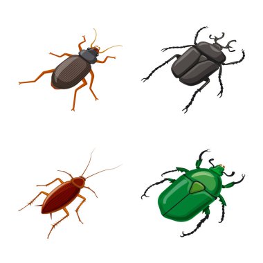 Vektör tasarım böcek ve sinek logosu. Stok için böcek ve Entomoloji vektör simgesi seti.