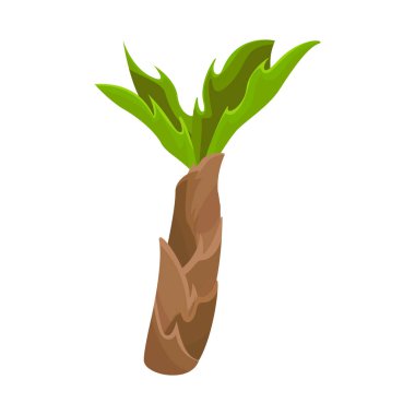 Palmiye ve orman sembolünün yalıtılmış nesnesi. Web için Palm ve yeşil Stok sembolü seti.