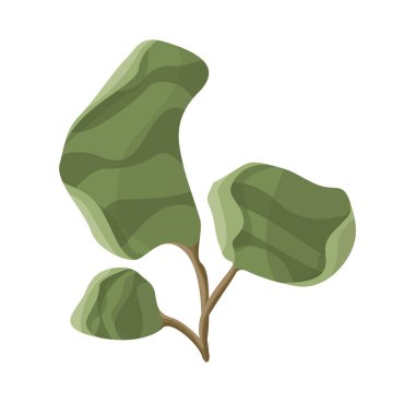 Deniz yosunu ve mercan logosu vektör tasarımı. Deniz yosunu ve organik stok vektör çizim koleksiyonu.