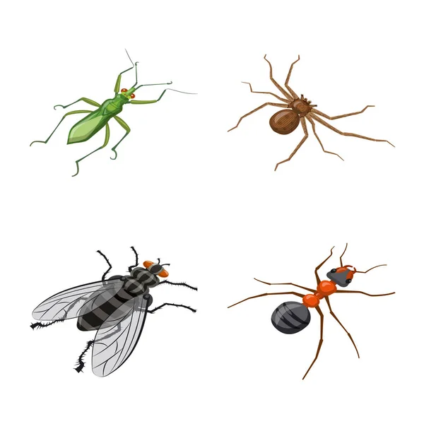 昆虫和苍蝇符号的矢量设计。网络昆虫和昆虫学股票符号的收集. — 图库矢量图片