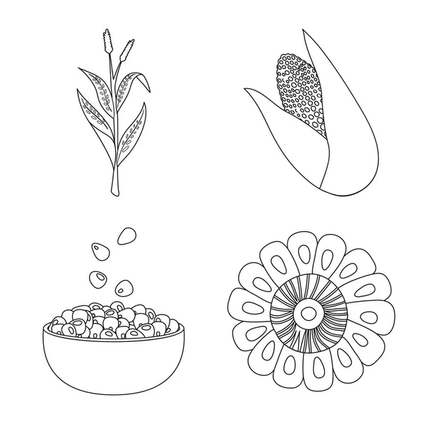 Illustration vectorielle de l'icône de ferme et culture. Illustration vectorielle de l'ensemble des stocks agricoles et nutritionnels . — Image vectorielle