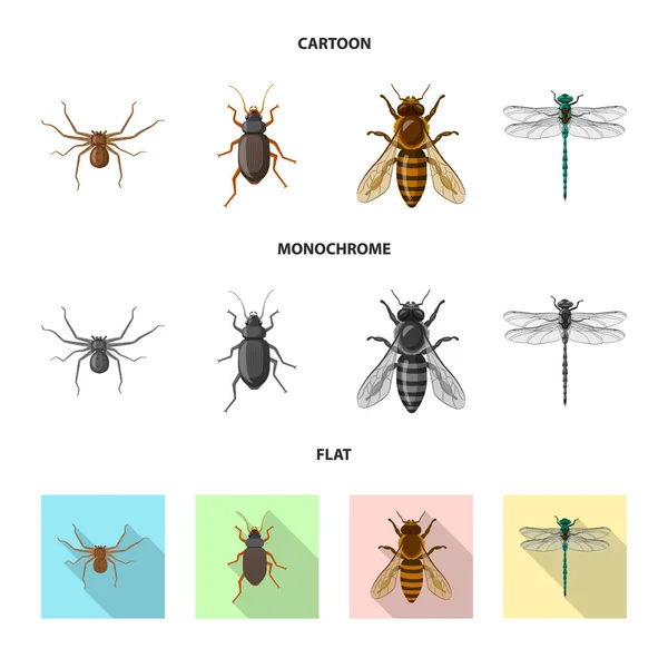 Objeto aislado del logotipo de insectos y moscas. Colección de insectos y símbolo de stock de elementos para la web . — Vector de stock