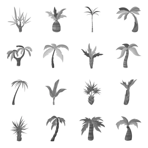 ジャングルと植物ロゴのベクトルデザイン。ジャングルとフローラストックベクトルイラストのコレクション. — ストックベクタ