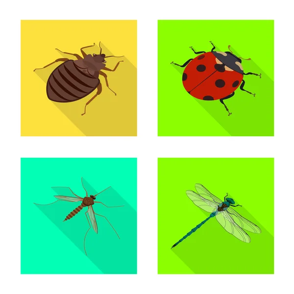 Illustration vectorielle du logo nature et faune. Illustration vectorielle de la nature et des ailes . — Image vectorielle