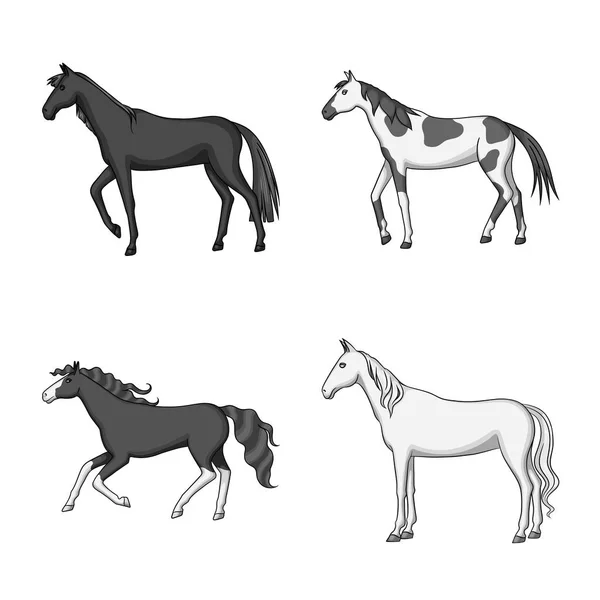 Objet isolé de la ferme et le symbole de l'équitation. Ensemble d'icône vectorielle agricole et équestre pour le stock . — Image vectorielle