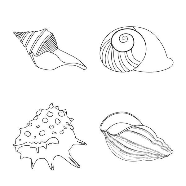 Illustration vectorielle de l'icône exotique et des fruits de mer. Collection d'icônes vectorielles exotiques et aquatiques pour stock . — Image vectorielle