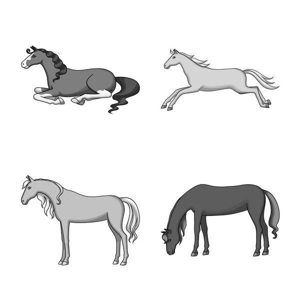 Vector illustration of farm and riding logo. Collection of farm and equestrian stock vector illustration. — Stock Vector