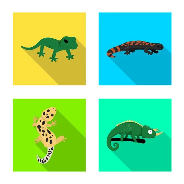 Conception vectorielle du logo de la queue et de la faune. Collection d'illustration vectorielle de stock pour la queue et l'environnement . — Image vectorielle