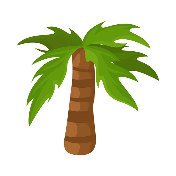 Diseño vectorial de la palma y el símbolo forestal. Colección de palma y relajarse símbolo de stock para la web . — Vector de stock