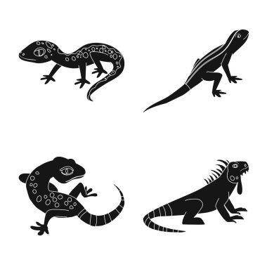 Vektör tasarım Hayvanat Bahçesi ve çevre işareti. Hayvanat Bahçesi ve sürüngen stok vektör çizim koleksiyonu.