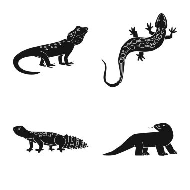 Hayvanat Bahçesi ve çevre sembolü izole nesne. Stok için Hayvanat Bahçesi ve sürüngen vektör simgesi koleksiyonu.