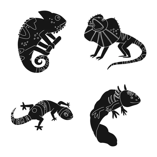 Векторная иллюстрация символа зоопарка и окружающей среды. Коллекция символов зоопарка и рептилий для паутины . — стоковый вектор