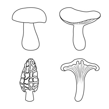 Orman ve taze Logo vektör Illustration. Web için orman ve doğa stok sembolü koleksiyonu.