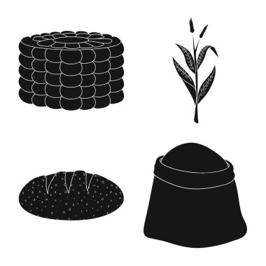 Vektör Illustration organik ve vejetaryen işareti. Stok için organik ve gıda vektör simgesi seti.