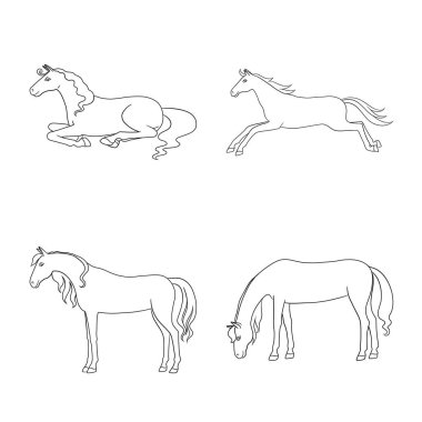 Aygır ve dörtnala simgesinin vektör tasarımı. Web için aygır ve Riding stok sembolü seti.