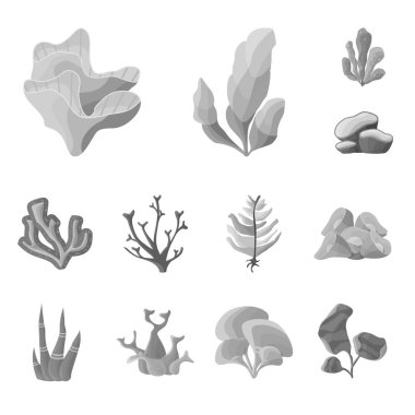 Botanik ve Flora simgesinin vektör Illustration. Web için Botanik ve doğa stok sembolü seti.