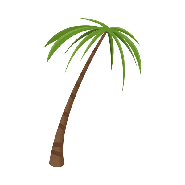 Vektor design av Palm och tall ikon. Samling av Palm och Coco Stock symbol för webben. — Stock vektor