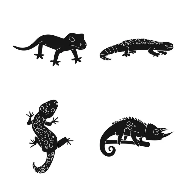 Illustration vectorielle du logo du zoo et de l'environnement. Collection d'illustration vectorielle de stock de zoo et reptiles . — Image vectorielle