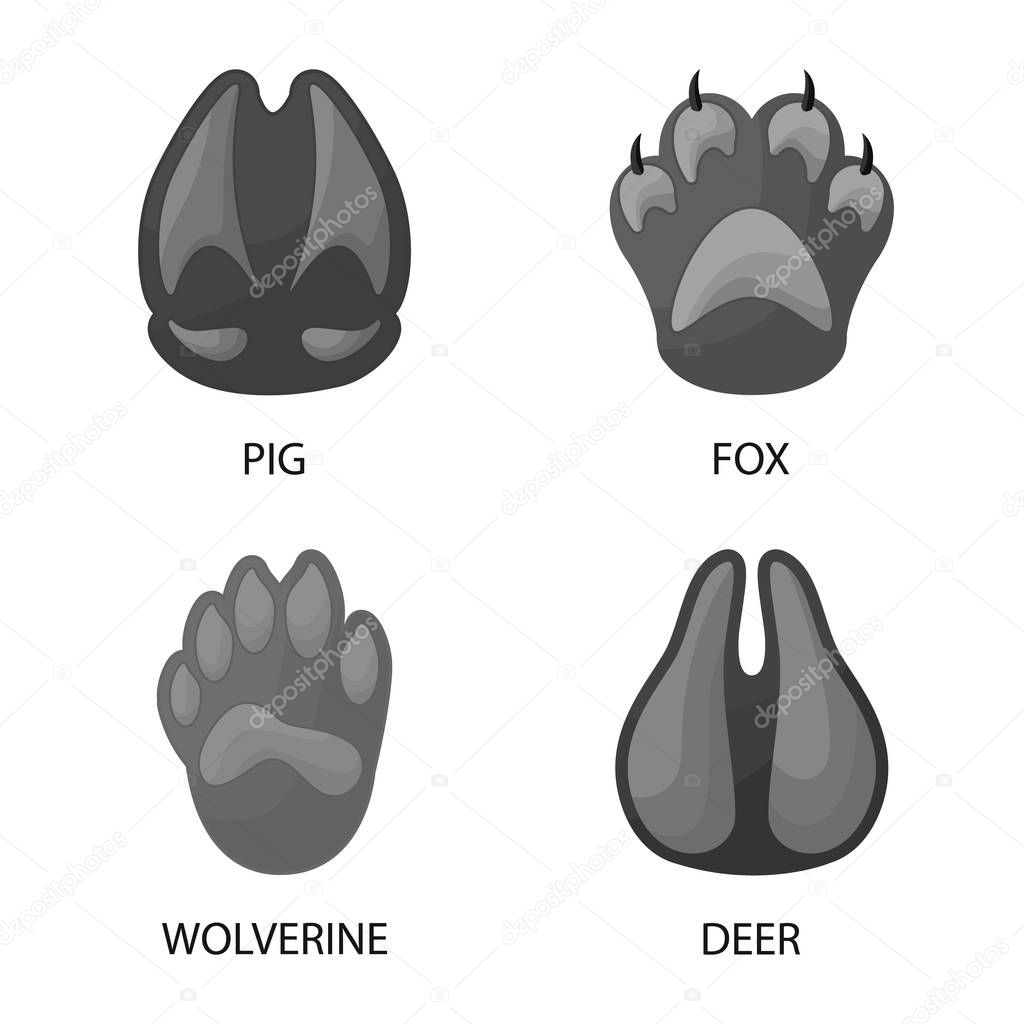 Isolated object of wildlife and trace logo. Set of wildlife and walk vector icon for stock.