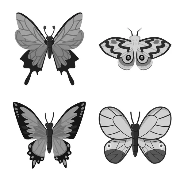 Geïsoleerd voorwerp van vliegen en insect teken. Set van Fly en Botanic Stock symbool voor web. — Stockvector