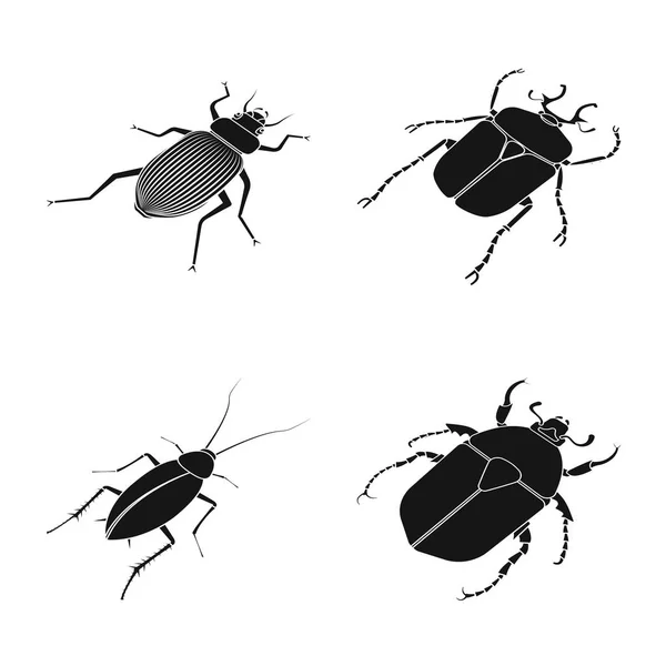 Illustration vectorielle des ailes et logo de l'aile. Jeu d'ailes et illustration vectorielle du stock de mouches . — Image vectorielle