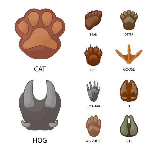 Vector illustration of animal and print icon. Collection of animal and footprint stock symbol for web. Royalty Free Stock Illustrations