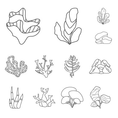 Deniz ve okyanus sembolüizole nesne. Stok için deniz ve flora vektör simgesi seti.