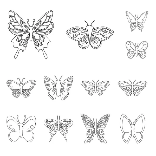 Illustration vectorielle de mouche et signe décoratif. Collecte d'illustration vectorielle de la mouche et des insectes . — Image vectorielle