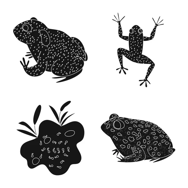 Vektor design av fauna och reptil tecken. Insamling av fauna och talamancae Stock Vector illustration. — Stock vektor