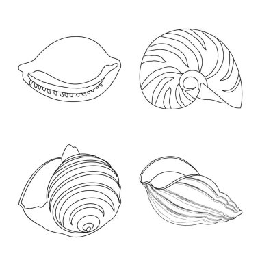 Egzotik ve deniz ürünleri işareti vektör tasarımı. Stok için egzotik ve suvektör simgesi koleksiyonu.