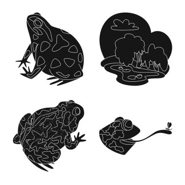 Fauna ve sürüngen işareti izole nesne. Stok için fauna ve anuran vektör simgesi seti.