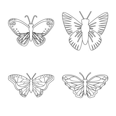 Sinek ve dekoratif sembol Vektör illüstrasyon. Sinek ve böcek stok vektör illüstrasyon koleksiyonu.