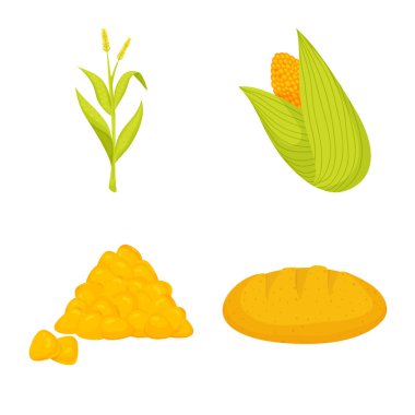 Mısır ve gıda sembolü izole nesne. Stok için Mısır ve kırpma vektör simgesi koleksiyonu.