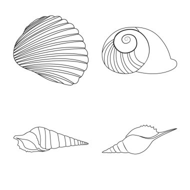 Egzotik ve deniz ürünleri sembolünün vektör tasarımı. Egzotik ve su stok vektör çizim koleksiyonu.