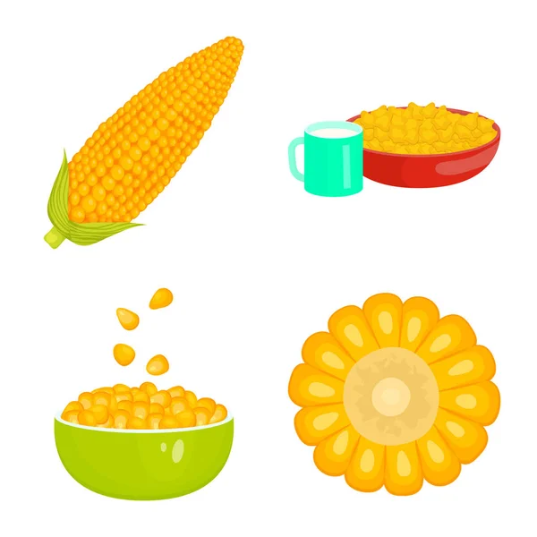 Objeto aislado de maíz y símbolo alimenticio. Colección de maíz e ilustración del vector de stock de cultivos . — Vector de stock