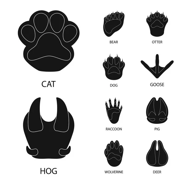 脚和动物标志的矢量设计。脚和打印库存矢量插图集. — 图库矢量图片
