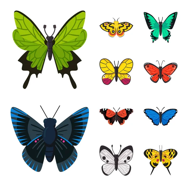 Illustration vectorielle de la nature et logo d'été. Illustration vectorielle de la nature et des animaux . — Image vectorielle