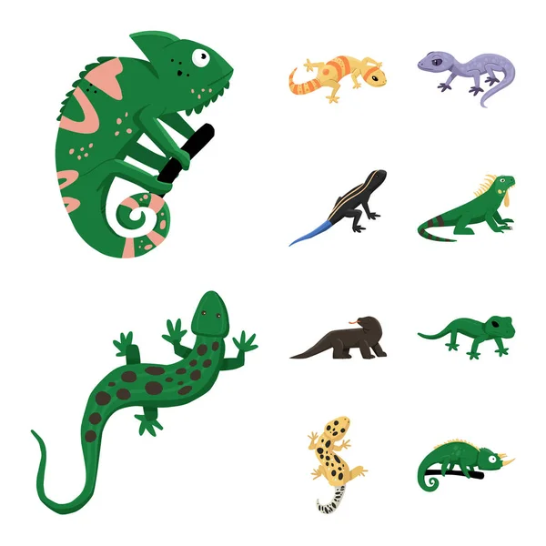 Vector design of animal and reptile symbol. Collection of animal and nature stock symbol for web. — Stock Vector