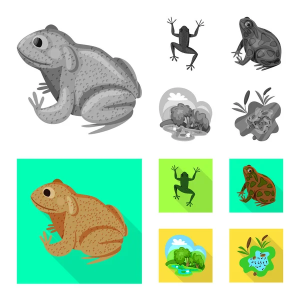 Vektorillustration von Wildtieren und Moorsymbolen. Illustration von Tierwelt und Reptilienbestand. — Stockvektor