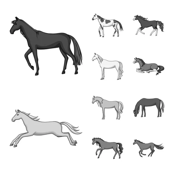 Projeto vetorial de fazenda e sinal de equitação. Coleta de ilustração do vetor de fazenda e equestre . —  Vetores de Stock