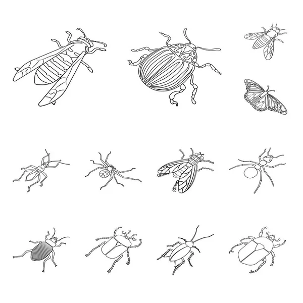 동물 군 과 곤충 기호의 벡터 그림입니다. 컬렉션 의 동물 및 동물 스톡 벡터 일러스트. — 스톡 벡터