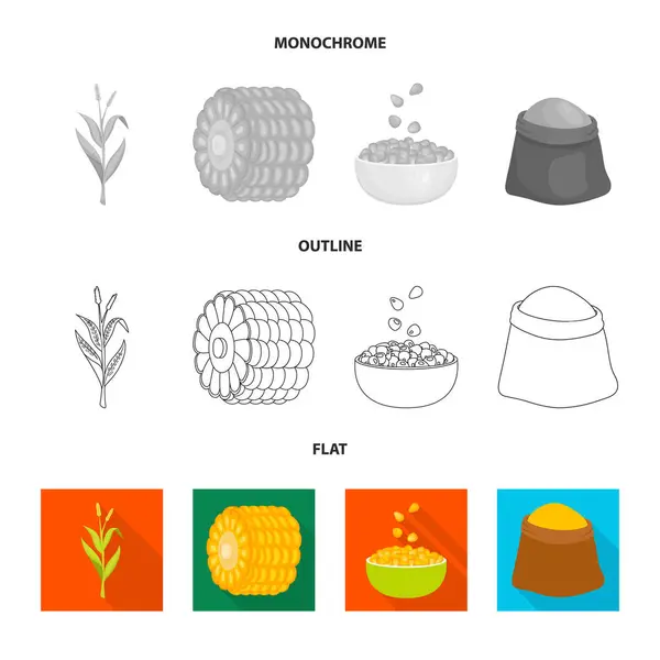 Illustrazione vettoriale di campo di grano e cartello vegetale. Raccolta di icone vettoriali di mais e vegetariani per magazzino . — Vettoriale Stock
