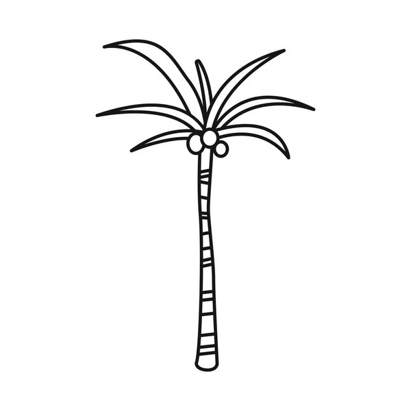 Geïsoleerd voorwerp van Palm en exotische teken. Collectie van Palm en trunk voorraad symbool voor web. — Stockvector