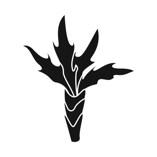 Ilustración vectorial del logotipo de palma y decoración. Conjunto de ilustración de vector de palma y stock exótico . — Archivo Imágenes Vectoriales