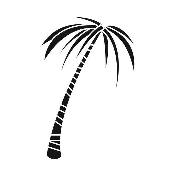 Isolierte Objekt der Handfläche und hohen Zeichen. Reihe von Abbildungen von Palmen und Kokosnüssen. — Stockvektor