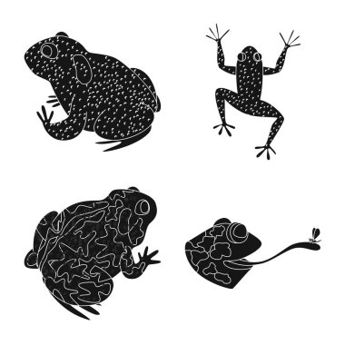 Fauna ve sürüngen simgesivektör illüstrasyon. Web için fauna ve anuran stok sembolü koleksiyonu.